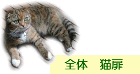 Ś@L̃y[W̕\